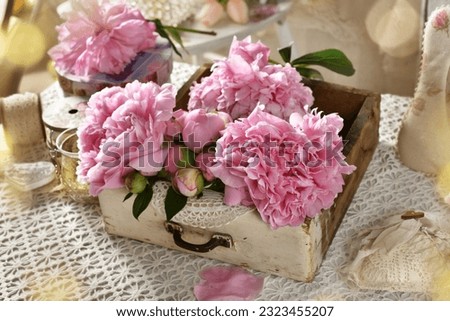 Pink fresh peonies in old wooden drawer on the table with retro style lace tablecloth 