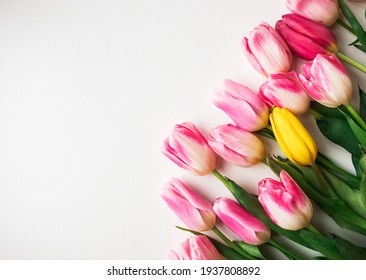 Fiori Freschi Hd Stock Images Shutterstock