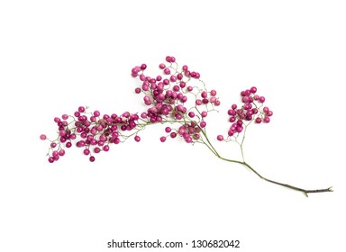 The Pink Fruit Of The Peruvian Pepper Tree Isolated On A White Background.