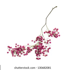 The Pink Fruit Of The Peruvian Pepper Tree (Schinus Molle) Isolated On A White Background.