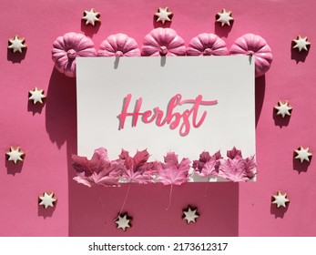 Pink fuchsia paper background with Autumn decor. Text Herbst in German means Fall. Monochromatic flat lay, magenta pumpkins. Dry Fall leaves painted metallic pink.