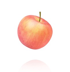 Pink Fuji Apple Flying In The Air Isolated On White Background. 