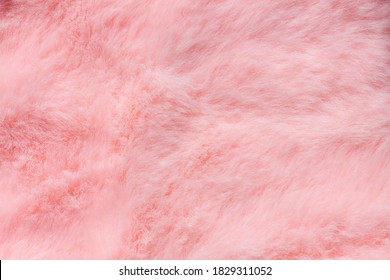 Pink fur texture top view. Coral fluffy fabric coat background. Winter fashion color trends feminine flat lay, female blog backdrop for text signs desidgn. Girly abstract wallpaper, textile surface. - Shutterstock ID 1829311052