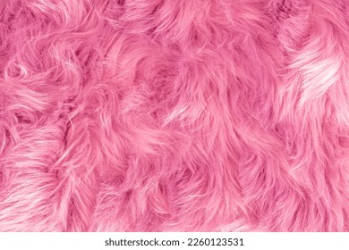 Pink fur texture top view. Pink sheepskin background. Fur pattern. Texture of pink shaggy fur. Wool texture. Sheep fur close up - Shutterstock ID 2260123531