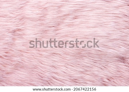 Pink fur texture top view. Pink sheepskin background. Fur pattern. Texture of pink shaggy fur. Wool texture. Sheep fur close up
