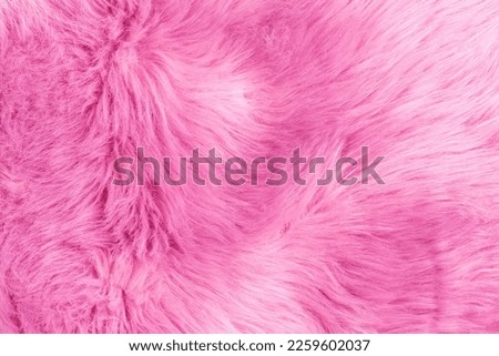 Pink fur texture top view. Pink sheepskin background. Fur pattern. Texture of pink shaggy fur. Wool texture. Sheep fur close up
