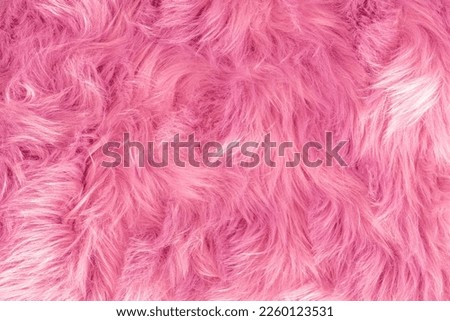 Pink fur texture top view. Pink sheepskin background. Fur pattern. Texture of pink shaggy fur. Wool texture. Sheep fur close up