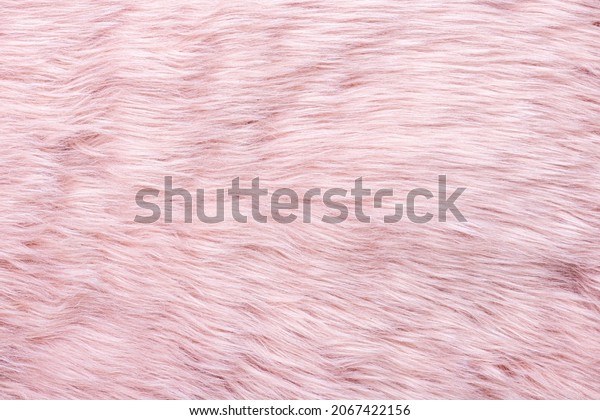 Pink fur texture top view. Pink sheepskin
background. Fur pattern. Texture of pink shaggy fur. Wool texture.
Sheep fur close up
