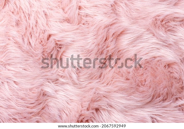 Pink fur texture top view. Pink sheepskin\
background. Fur pattern. Texture of pink shaggy fur. Wool texture.\
Sheep fur close up\
