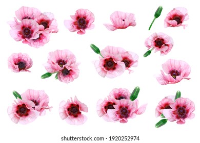 カラフル 花 背景 の画像 写真素材 ベクター画像 Shutterstock