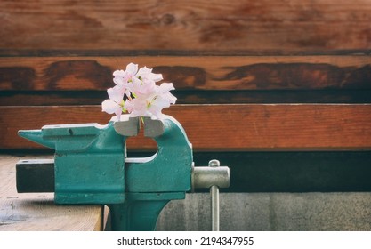 Pink Geranium Flowers Clamped In Vise, On Wooden Table, Control Of The Senses Concept, Selective Focus