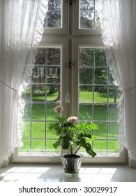 Pink Geranium Retro Window Sill Stock Photo 30029917 | Shutterstock