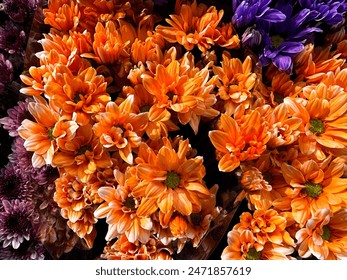 Pink gerbera Daisy in a bouquet. Flower background.  - Powered by Shutterstock