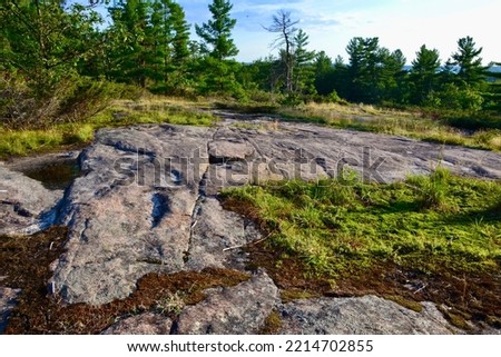 Pink granite bedrock and pine trees along hiking trail at Huckleberry Rock Lookout during Summer