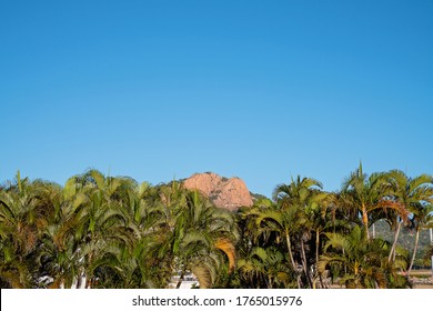 A Pink Granite Monolith Peaking Up Behind A Row Of Palm Trees Under A Clear Blue Sky