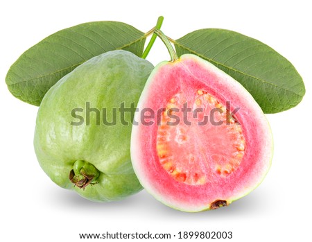 Pink guava fruit with leaf isolated on white background, Fresh Pink guava on White With clipping path.
