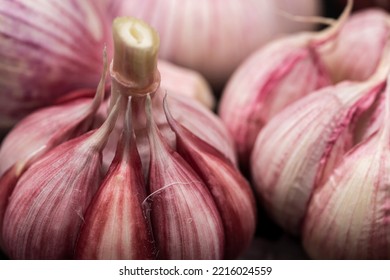 Pink heads of garlic close up - Powered by Shutterstock