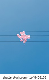 Pink Helium Balloons Are Flying In The Blue Sky. Black Electric Wires As A Musical Tang, Lines For Writing. The Concept Of A Happy Summer Birthday And Wedding, Honeymoon. Copy Space