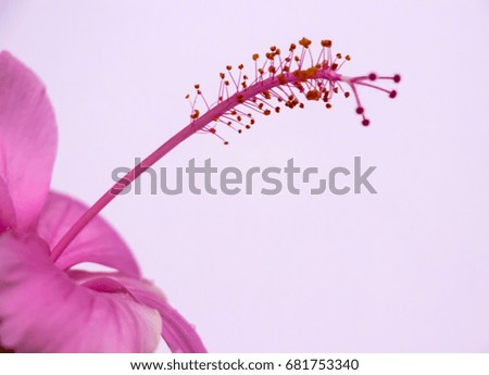 Similar – Image, Stock Photo droplet stamp Life Plant