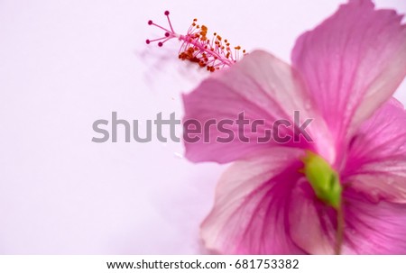 Similar – Image, Stock Photo droplet stamp Life Plant