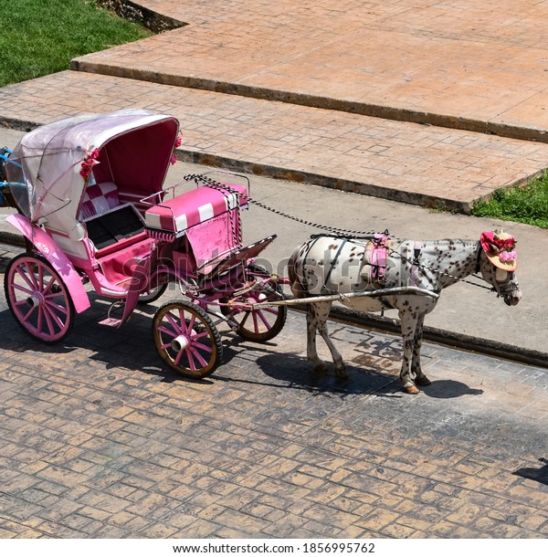 pink\
horse-drawn carriage with a horse wearing a\
hat