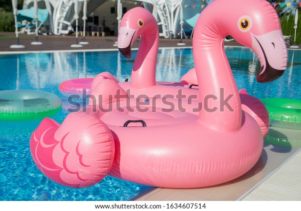 sam's club pink flamingo float