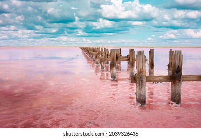 The Pink Lake Is A Beautiful Landscape, Unusual Nature. A Unique Rare Natural Phenomenon. Salt Lake With Pink Algae. Beautiful Landscape.