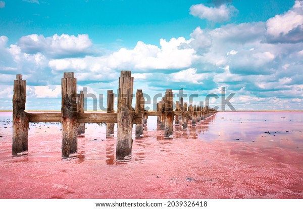 The pink lake is a beautiful landscape,\
unusual nature. A unique rare natural phenomenon. Salt lake with\
pink algae. Beautiful\
landscape.