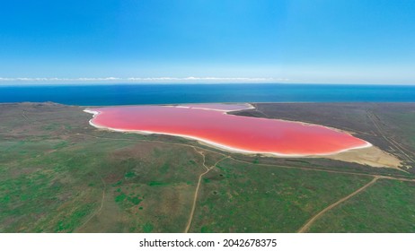 Pink Lake In The Crimea. Koyashskoe Lake. Aerial Photography.