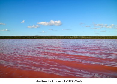 Pink Lake In Gregory, WA Australia                 