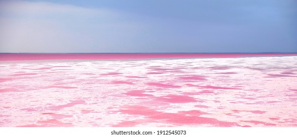 Pink Lake, Incredible Natural Landscape. The Salt Lake Turned Pink