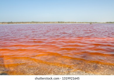 Pink Lake In Senegal