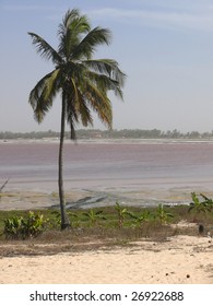 Pink Lake, Senegal