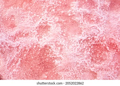 Pink Lake - Texture Of Pink Salt As A Background, Unusual Nature. A Unique Rare Natural Phenomenon. Salt Lake With Pink Algae. Beautiful Landscape.