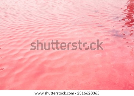 Pink lake - texture of pink salt as a background, unusual nature. A unique rare natural phenomenon. Salt lake with pink algae. Beautiful landscape.