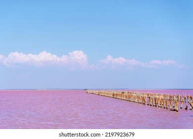 Pink Lake, Unusual Nature. A Unique Rare Natural Phenomenon. Beautiful Landscape.