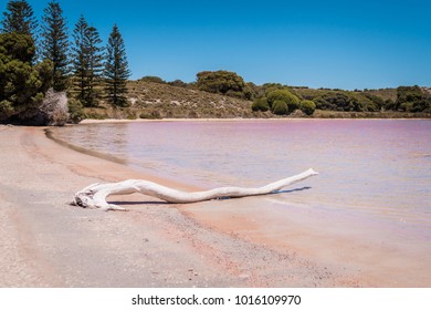 Pink Lake WA