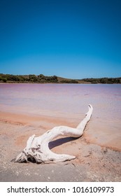 Pink Lake WA