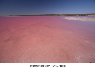 Pink Lake In Western Australia