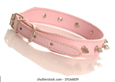 Pink Leather Dog Collar With Metal Studs Isolated On White Background