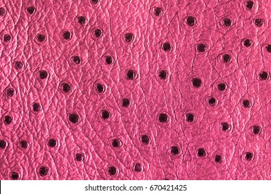 Pink Leather Textured Of Ostrich Skin