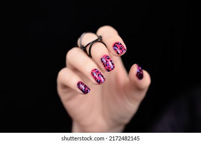 Pink leopard manicured nails isolated on black background. nail art. - Shutterstock ID 2172482145