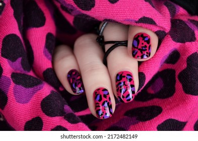 Pink leopard manicured nails isolated on black background. nail art. - Shutterstock ID 2172482149