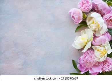Pink and light peonies, roses on a decorative background for the text of congratulations