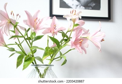 Pink Lilies In A Glas Vase. A Beautiful Decoration In A Swedish Home In Tyresö. 