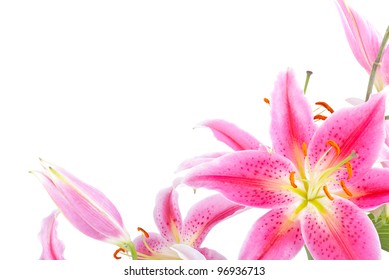 688,788 Floral background with lily Images, Stock Photos & Vectors ...