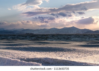 Pink And Lily Snow Waves At Pacific Ocean, Kamchatka