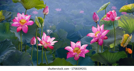 Pink lotus banners, 
oriental floral background with pink lotus flowers
