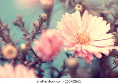 花柄春背景图片 库存照片和矢量图 Shutterstock