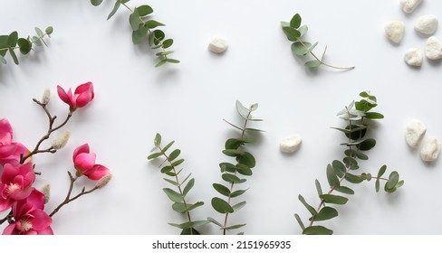 Pink magnolia flowers on twigs, fresh eucalyptus leaves and white stones. Copy-space, place for greeting text. Chinese new year. Top view, off white background.